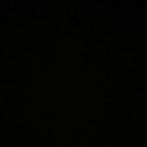 Meet your Posher, Audrey